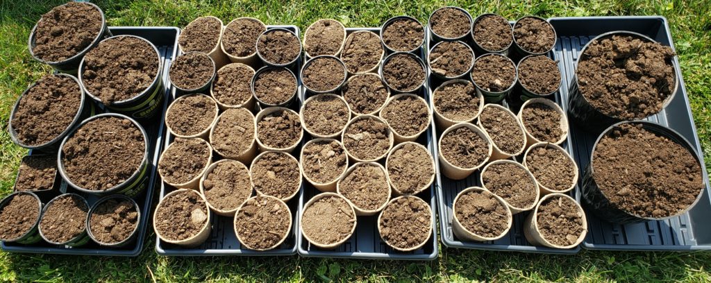 Seed pots