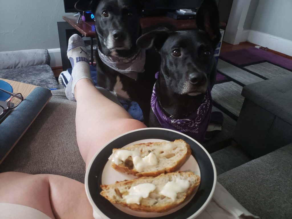 Doggo approved!