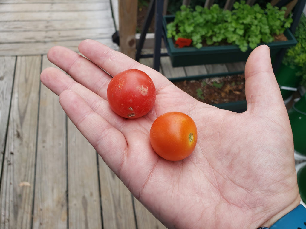 First toms of 2021