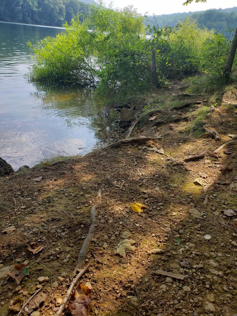 Shoreline